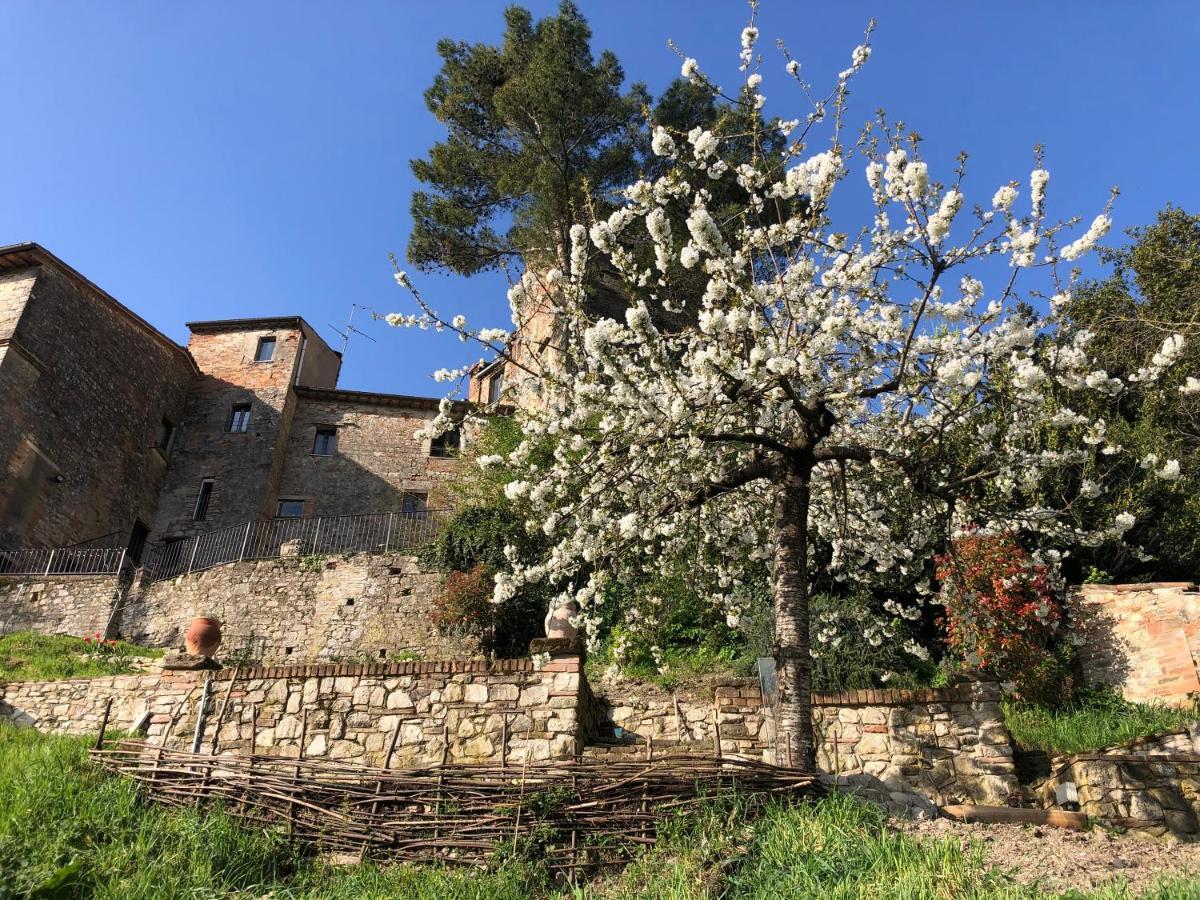 Lemon Tree Boutique Affittacamere Todi